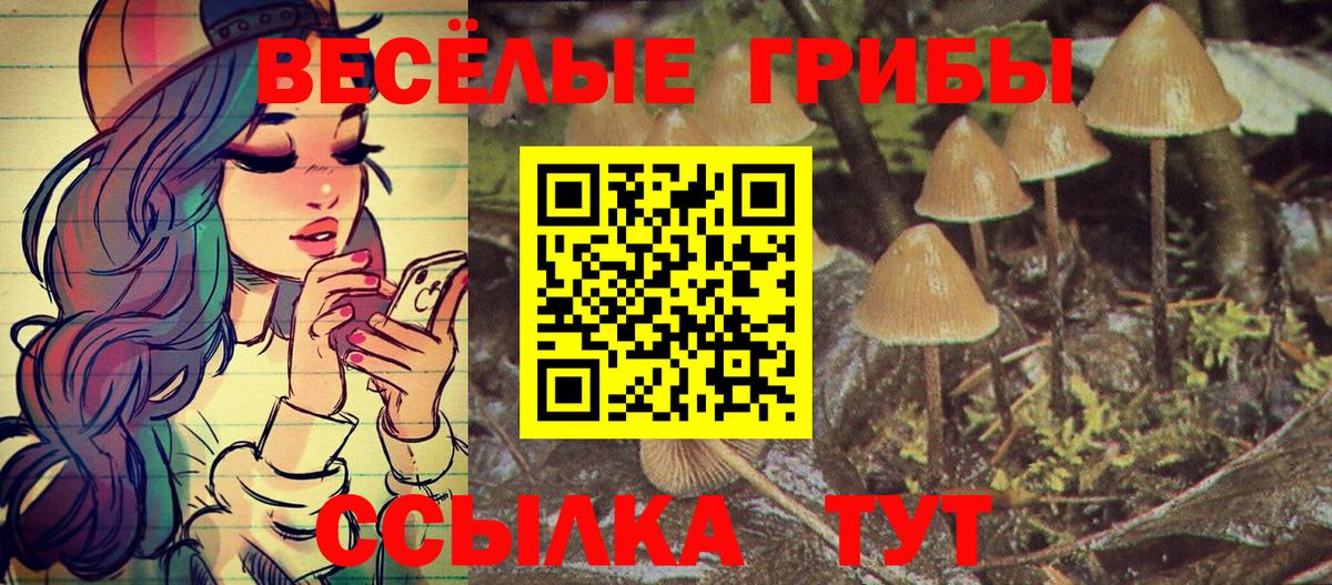 что такое наркотик  Вход с VPN  Черкесск  Галлюциногенные грибы мухоморы 