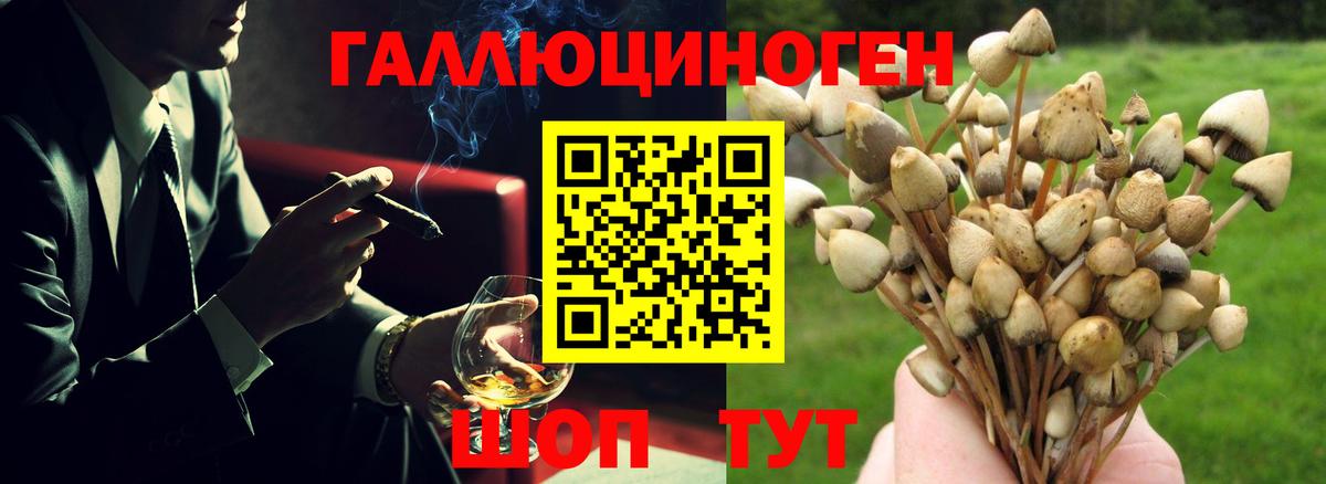 Псилоцибиновые грибы мицелий Черкесск